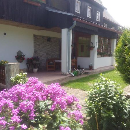 Ubytovani U Sviraku Srbská Kamenice Buitenkant foto