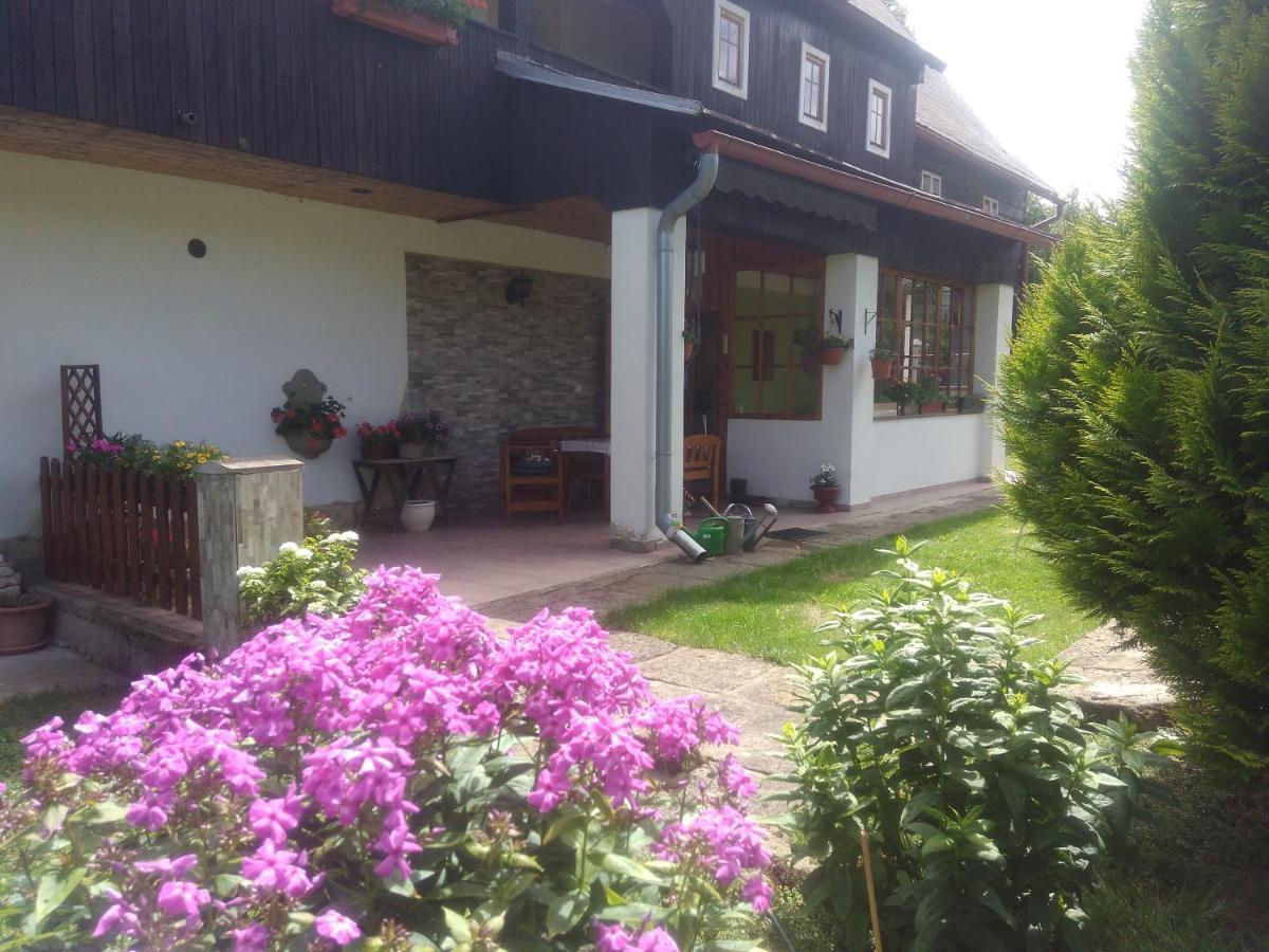 Ubytovani U Sviraku Srbská Kamenice Buitenkant foto